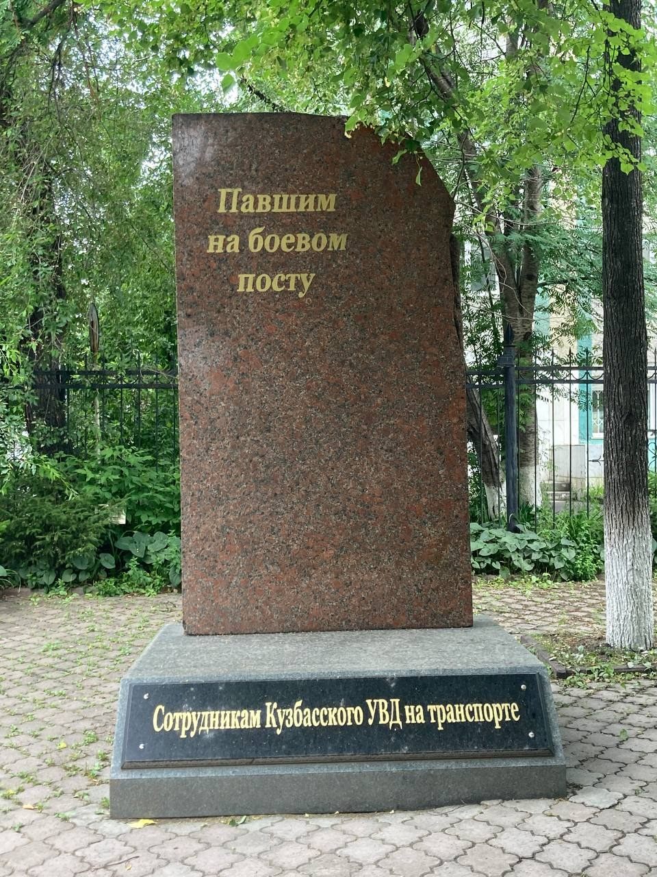 Фото студента КемГИК Беляевой Александры, 24 июня 2025 г.